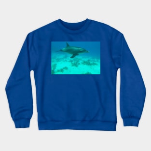 Dolphin Underwater Crewneck Sweatshirt